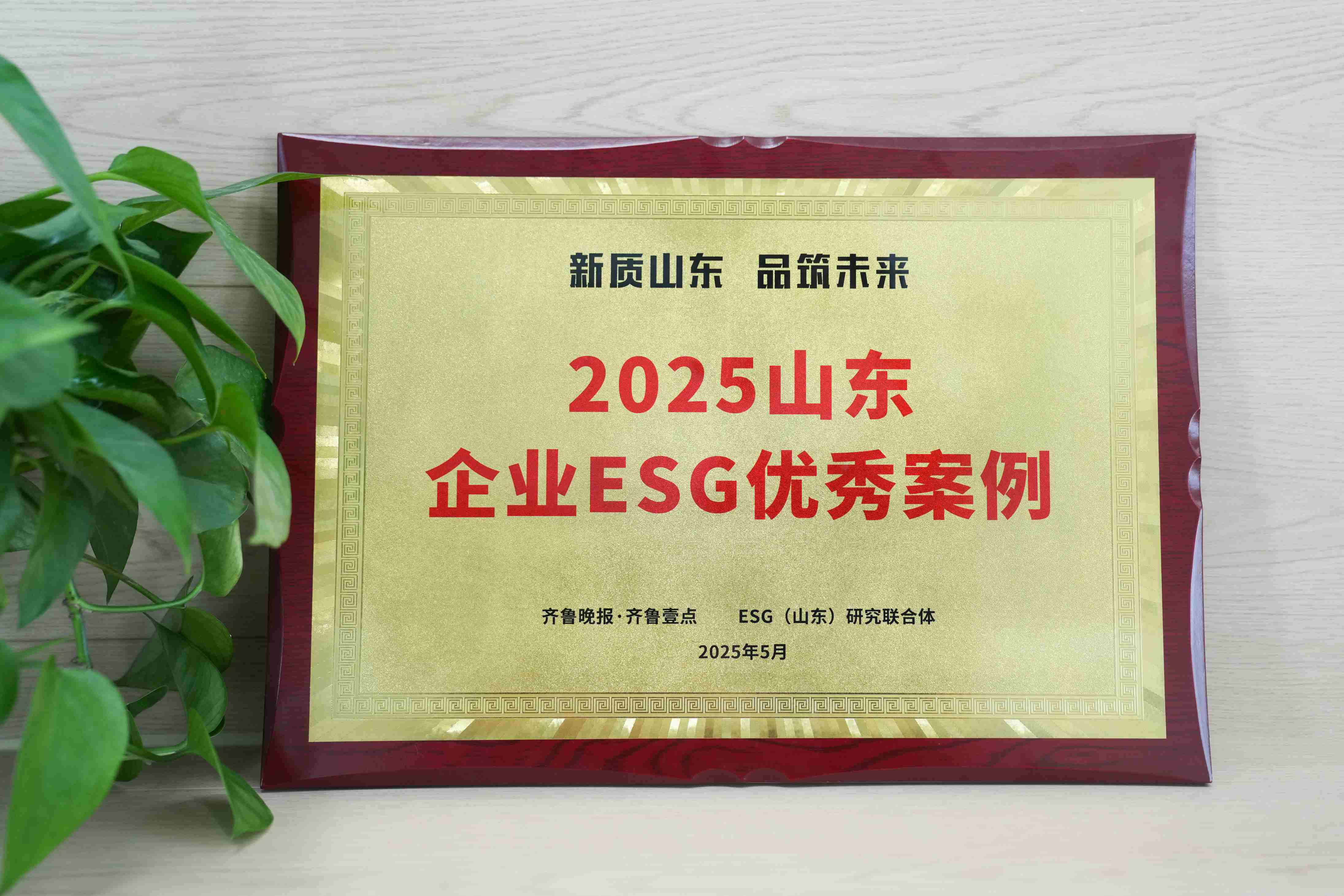 UED在线医疗入选2025山东企业ESG优秀案例